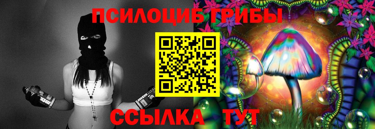 Галлюциногенные грибы Magic Shrooms Боровичи