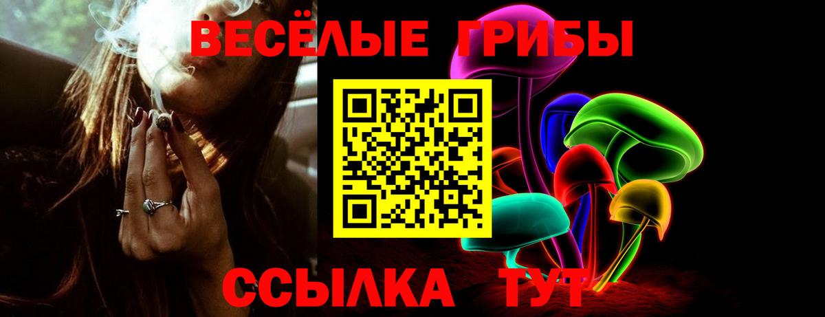 Боровичи  Псилоцибиновые грибы Psilocybe  закладки  Вход с VPN 