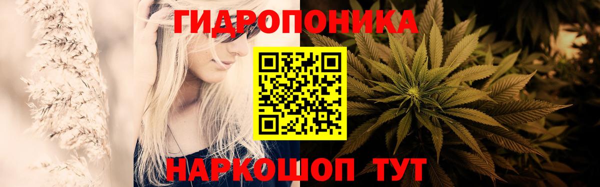 Бошки Шишки Bruce Banner  Каннабис конопля  Вход с VPN  Боровичи  Бошки Шишки сатива 
